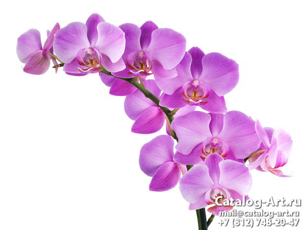 Натяжные потолки с фотопечатью - Розовые орхидеи 62